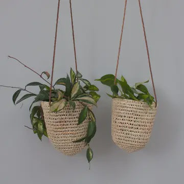 Hanging Plant Basket